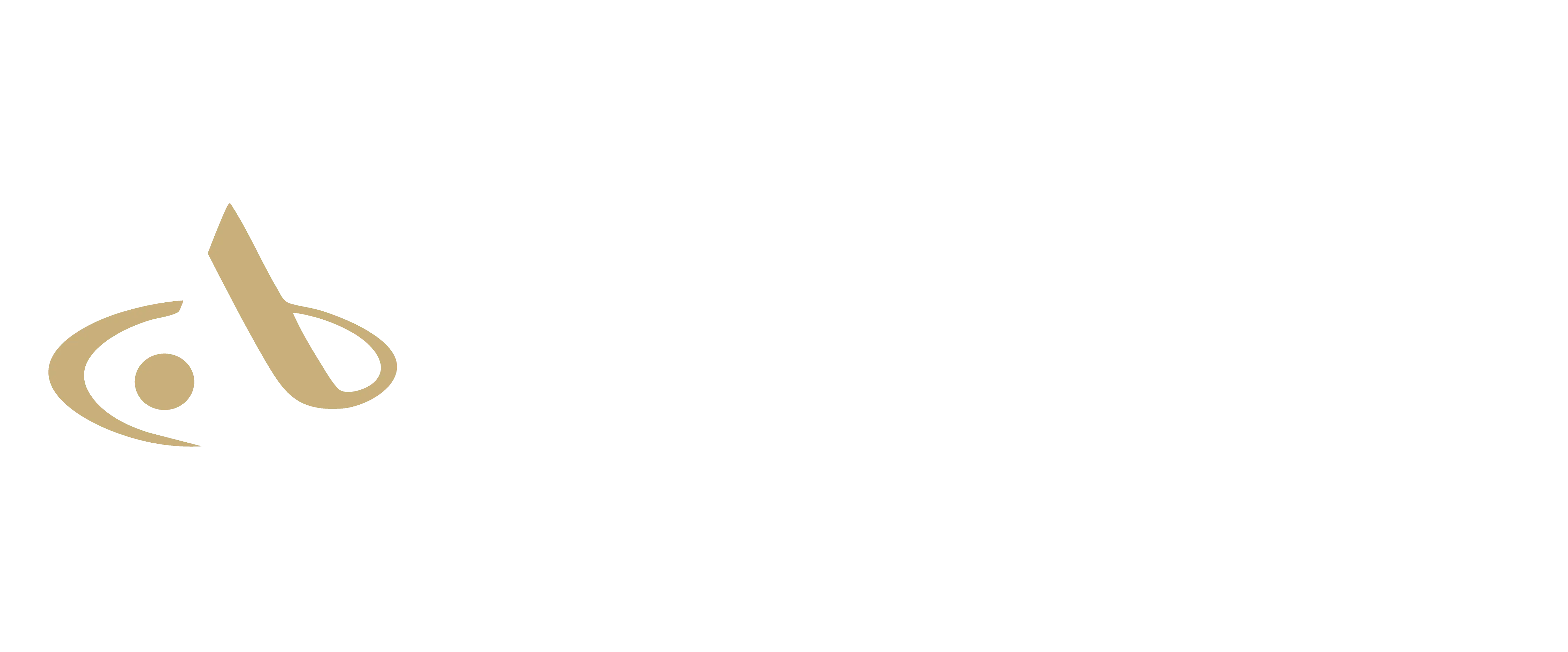 Logo Blanc